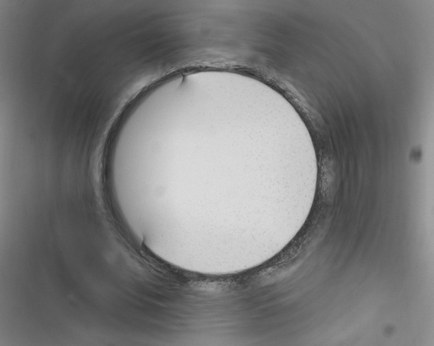 X0000116340679201001131046