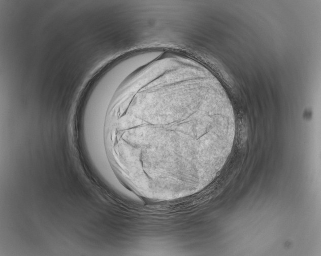 X0000116340680201001131046