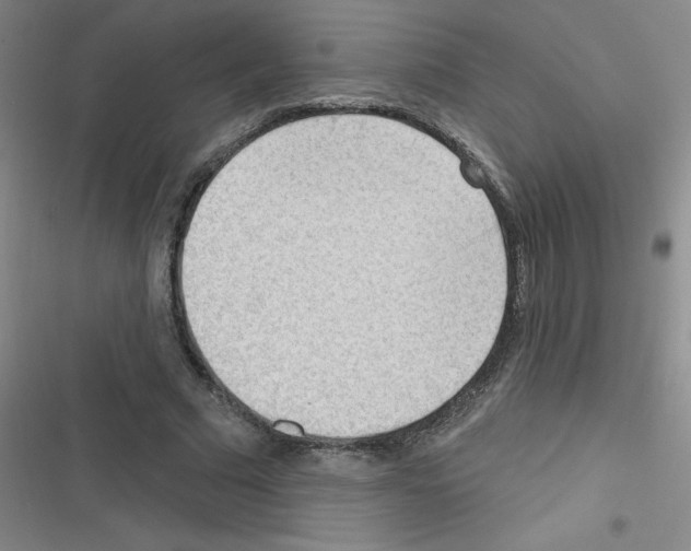 X0000116340681201001131046