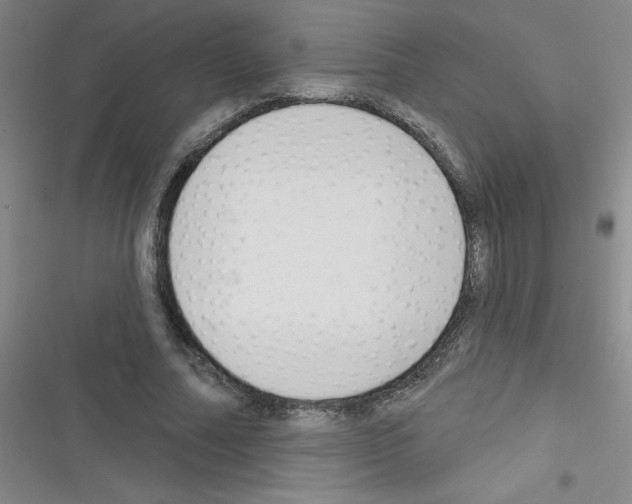 X0000116340682201001131046