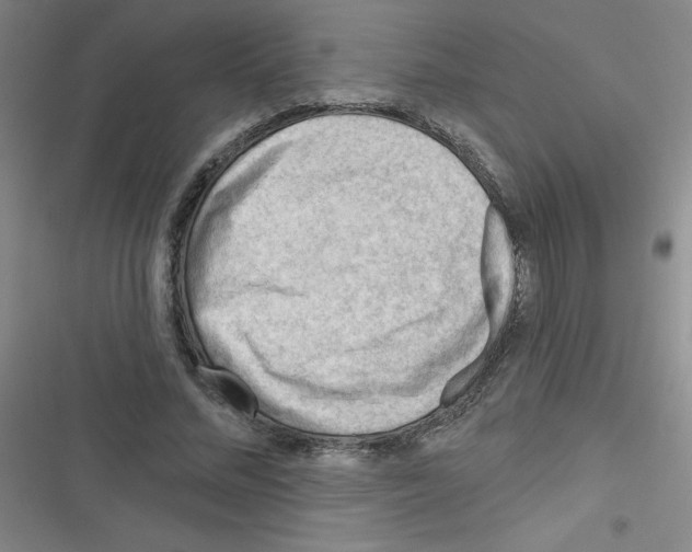 X0000116340684201001131046