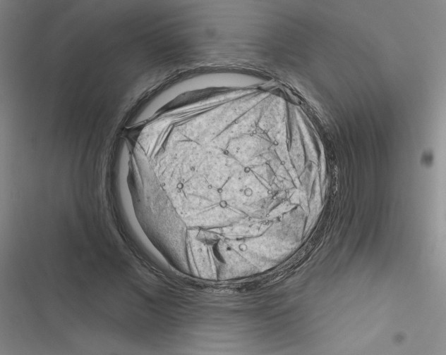 X0000116340685201001131046