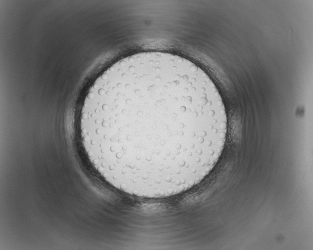 X0000116340686201001131046