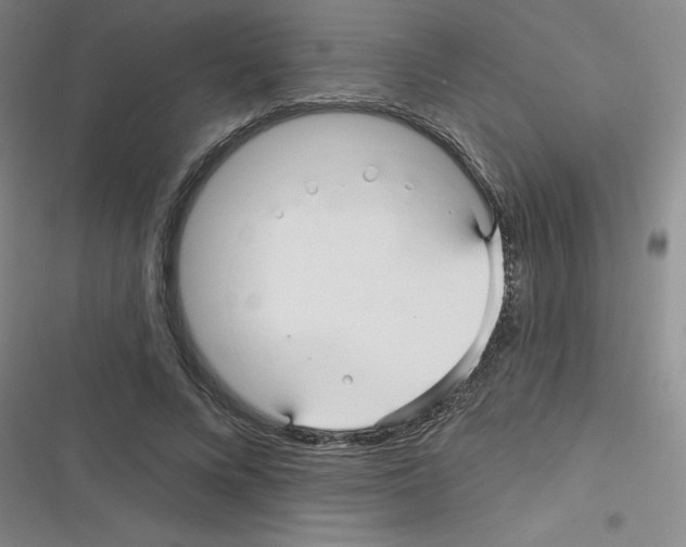 X0000116340688201001131046