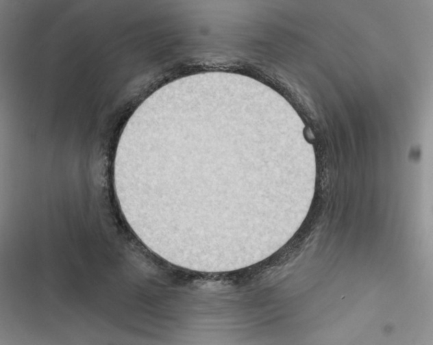 X0000116340689201001131045