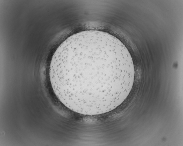 X0000116340690201001131045