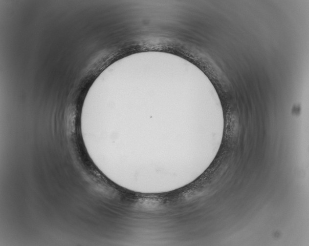 X0000116340694201001131045