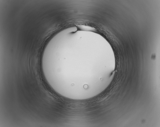 X0000116340696201001131045