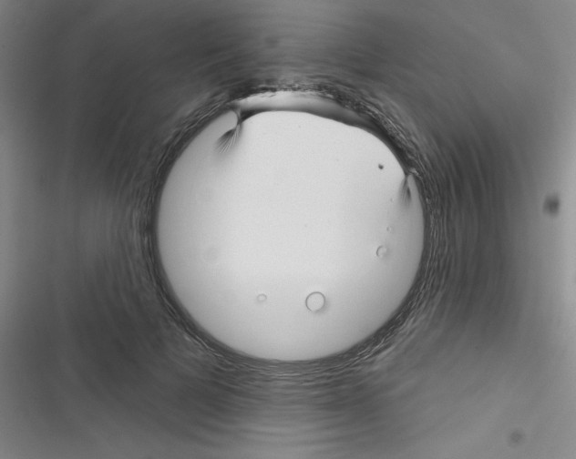 X0000116340697201001131045