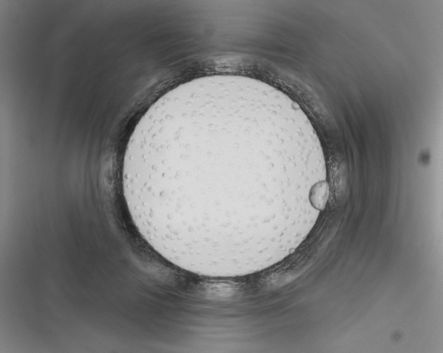 X0000116340698201001131045