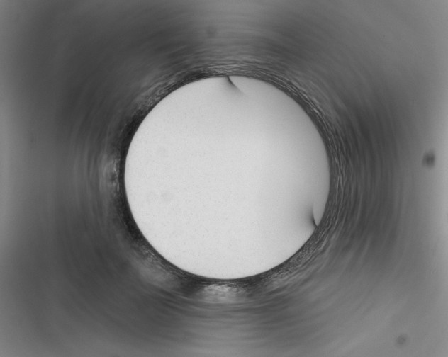 X0000116340699201001131045