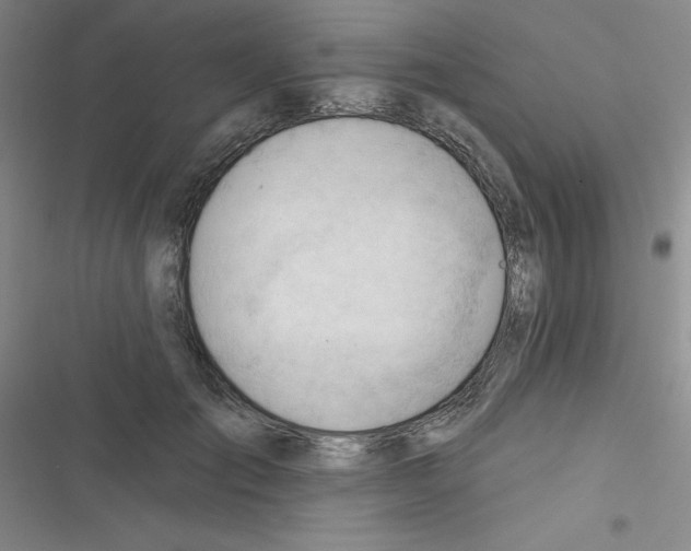 X0000116340701201001131045