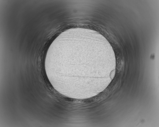 X0000116340704201001131045