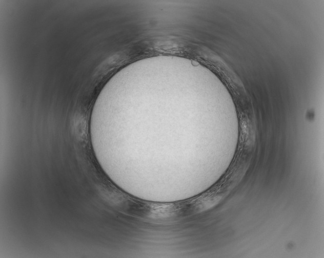 X0000116340705201001131045