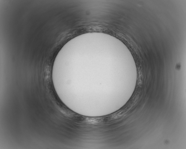 X0000116340706201001131045