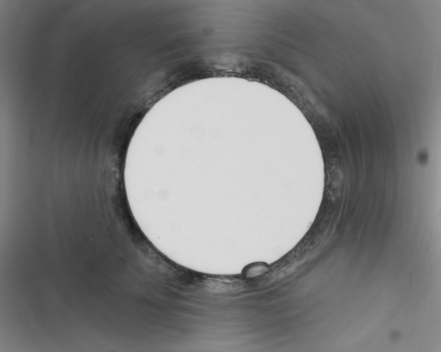 X0000116340707201001131045