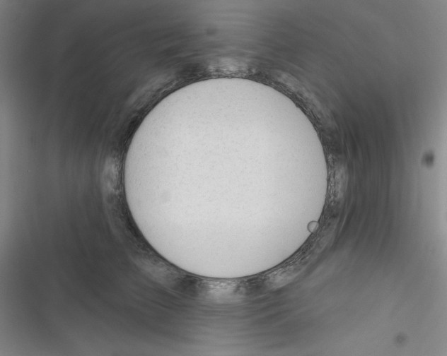 X0000116340709201001131045