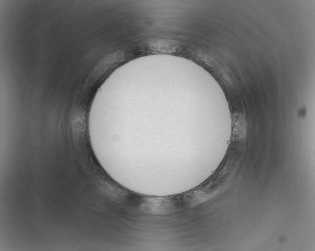 X0000116340713201001131045