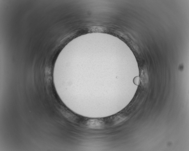 X0000116340714201001131045