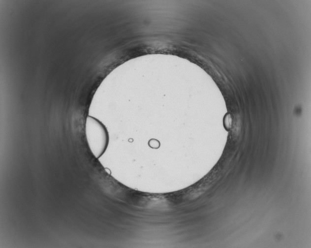 X0000116340715201001131045