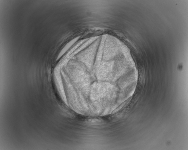 X0000116340716201001131045