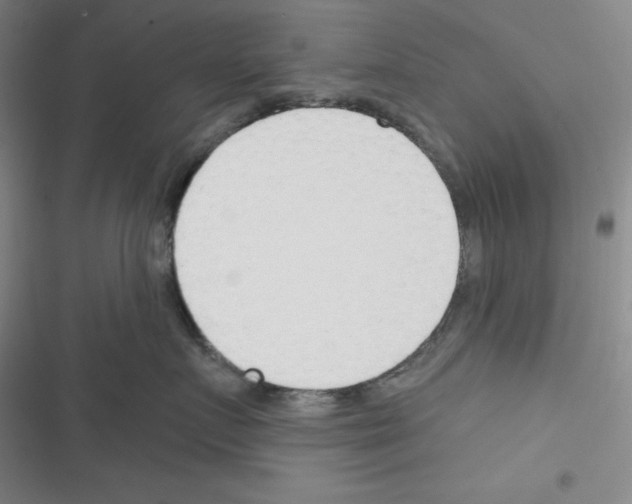 X0000116340719201001131045