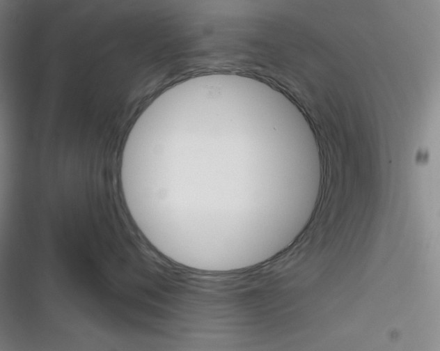 X0000116340720201001131045