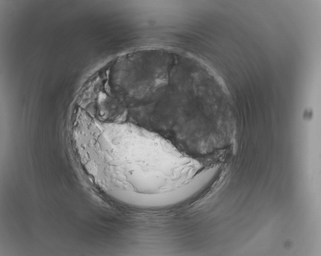 X0000116340721201001131044