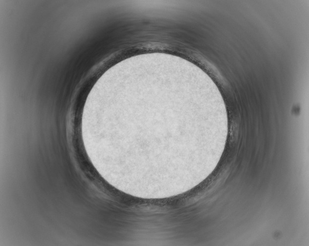 X0000116340722201001131044