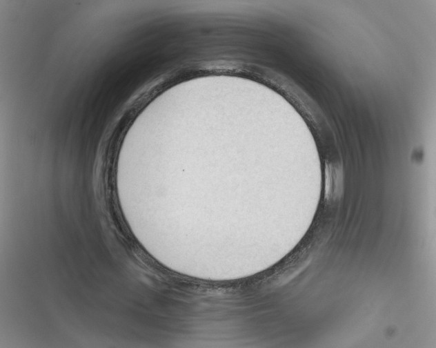 X0000116340723201001131044