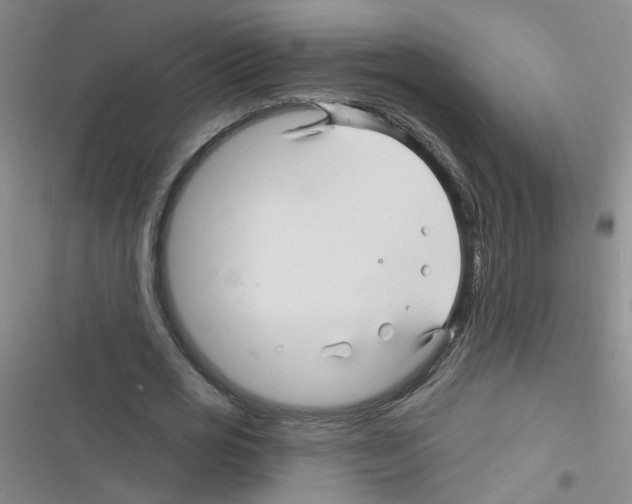 X0000116340725201001131044