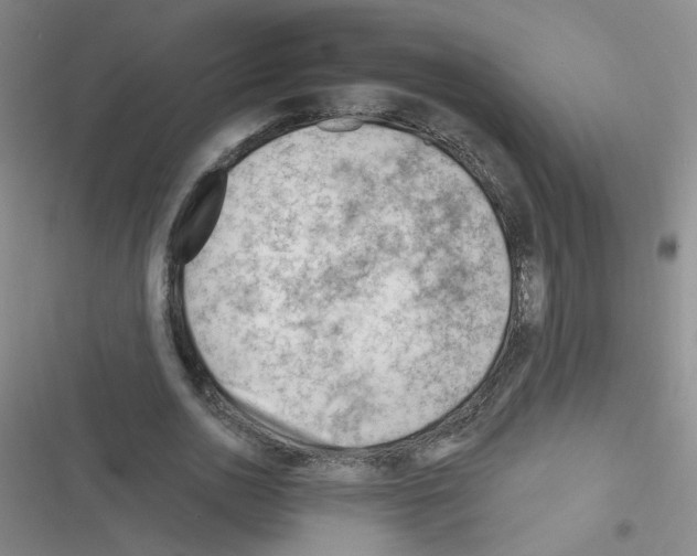 X0000116340726201001131044