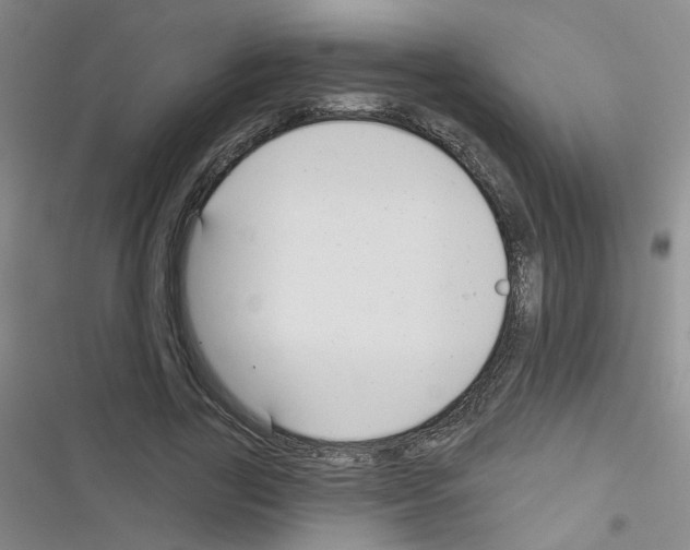 X0000116340731201001131045