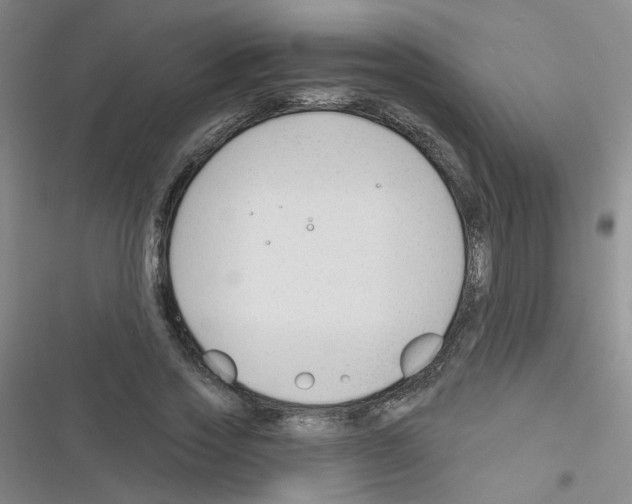 X0000116340733201001131045