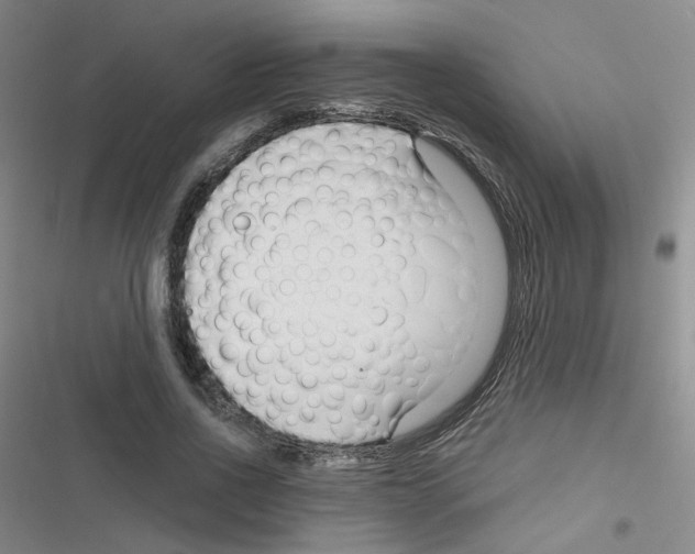 X0000116340734201001131045