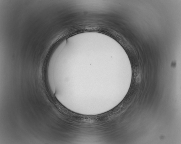 X0000116340735201001131045