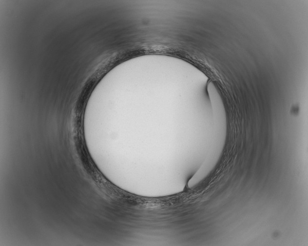 X0000116340738201001131045