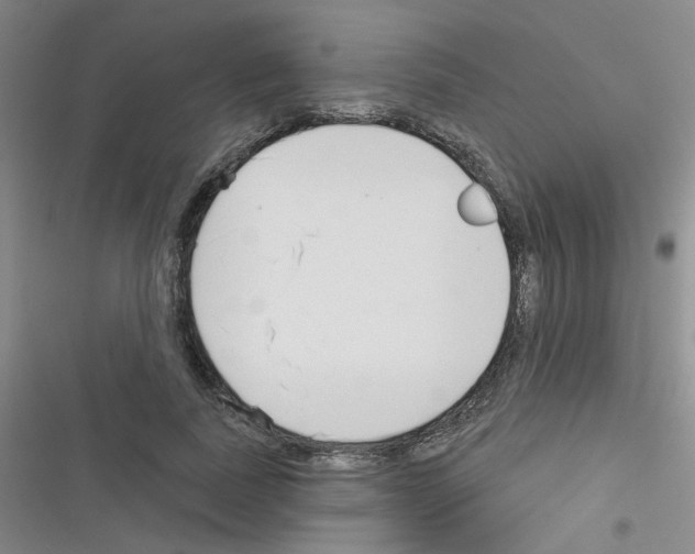 X0000116340739201001131045