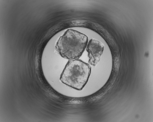 X0000116340741201001131045