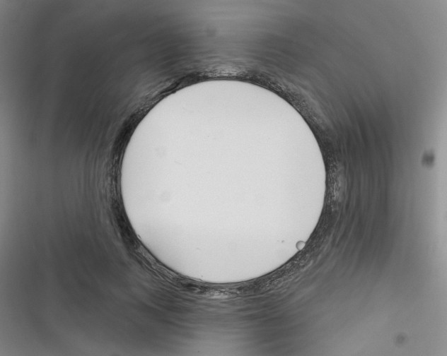 X0000116340743201001131045