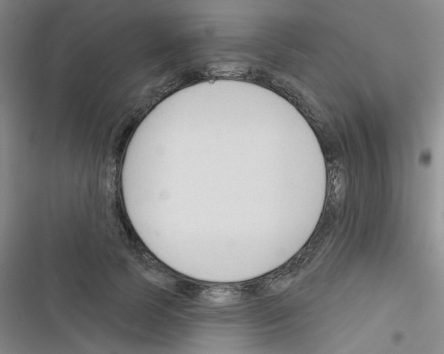 X0000116340745201001131045