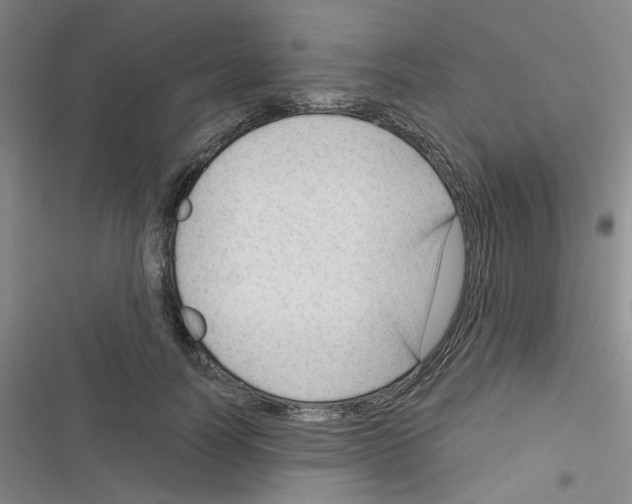 X0000116340746201001131045