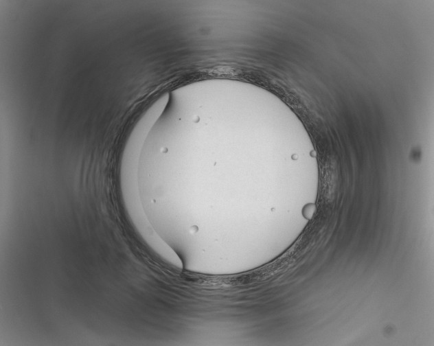 X0000116340747201001131045