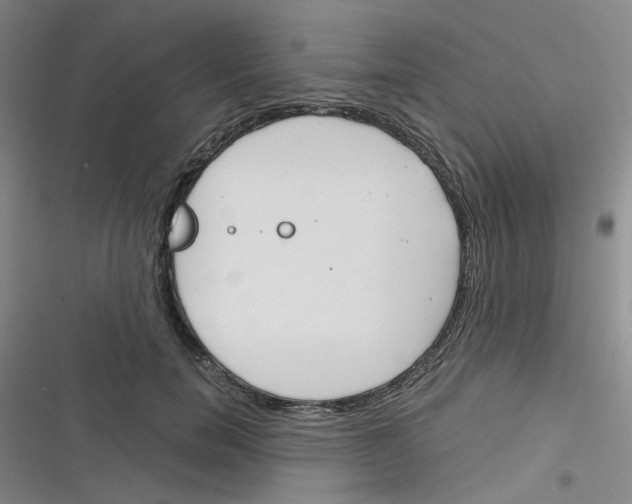 X0000116340750201001131045