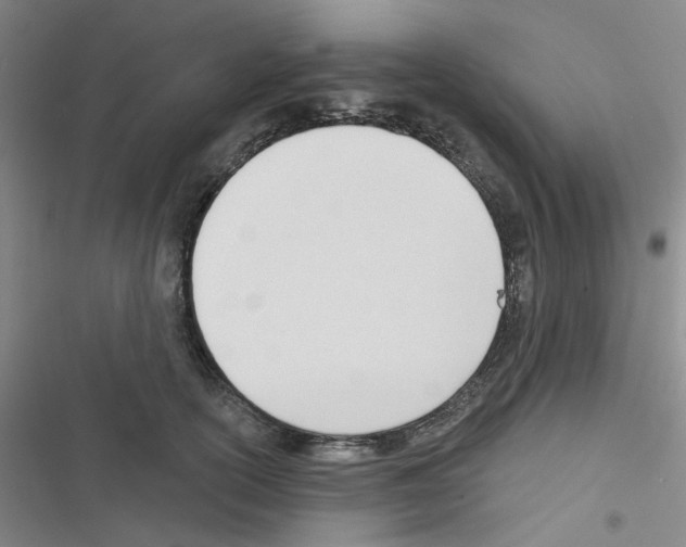 X0000116340754201001131045