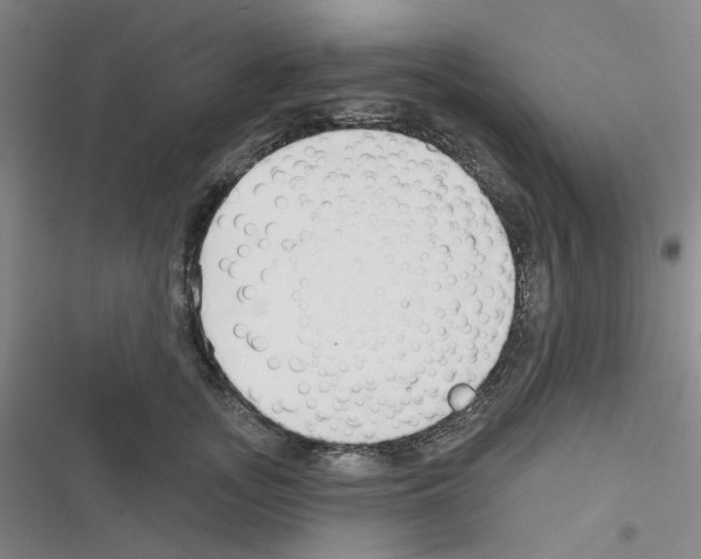 X0000116340755201001131045