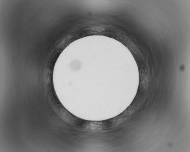 X0000116340758201001131045