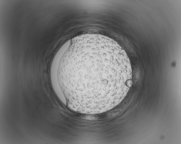 X0000116340759201001131045