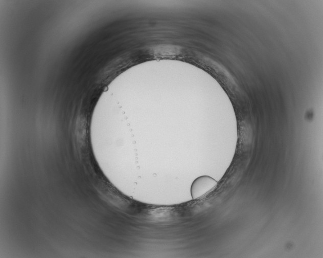 X0000116340761201001131045