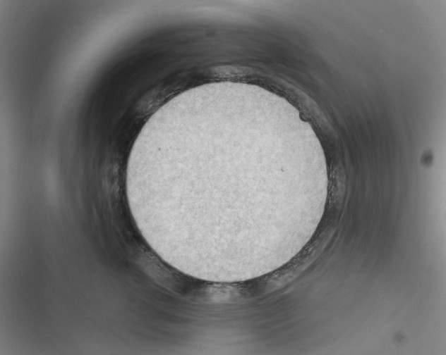 X0000116340762201001131045